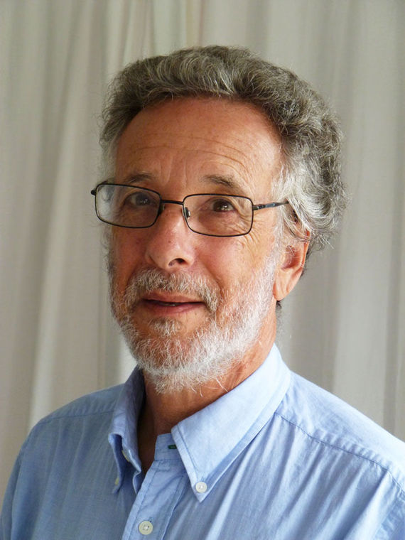 David Safier