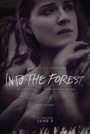 Into the Forest