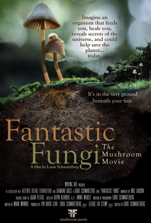 Fantastic Fungi