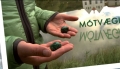 Mótvægi