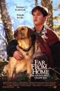 Far from Home