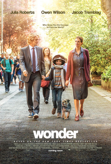 Wonder